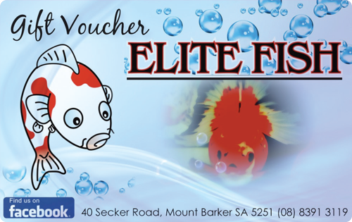 Elite Fish Gift Card