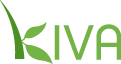 Kiva